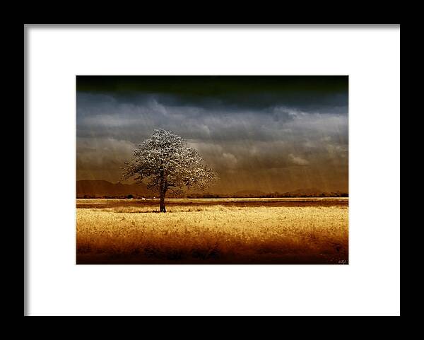 Landscapes Framed Print featuring the photograph And the rains came by Holly Kempe
