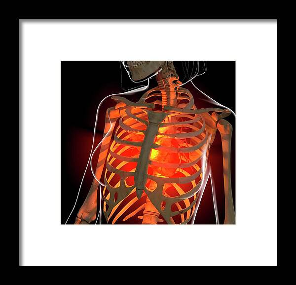 Anatomy Framed Print featuring the digital art Angina, Conceptual Artwork by Roger Harris