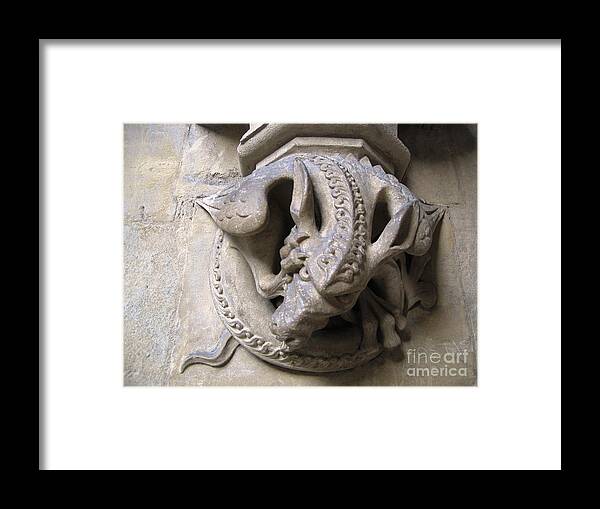 Dragon Framed Print featuring the photograph Angry Dragon by Denise Railey