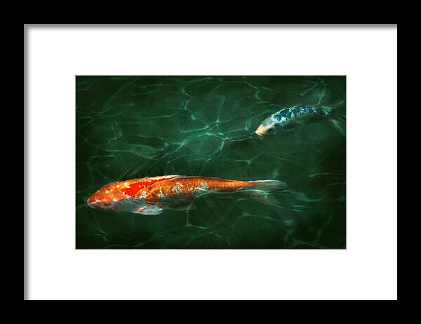 Koi Framed Print featuring the photograph Animal - Fish - Koi - Another fish story by Mike Savad