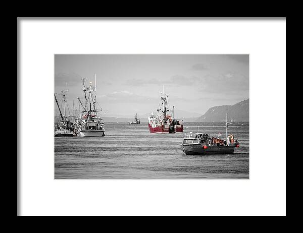 Seagulls Framed Print featuring the photograph Annual Tradition Herring Season by Roxy Hurtubise