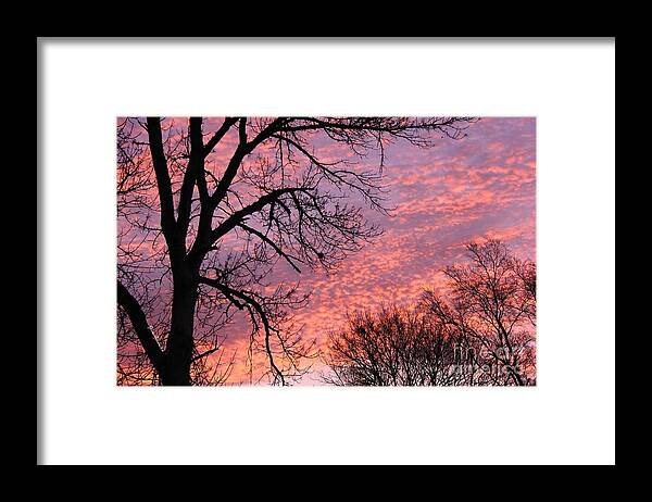 Sunrise Framed Print featuring the photograph Another Sunrise by Yumi Johnson