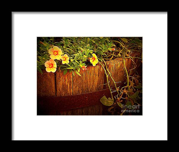 Flowers Framed Print featuring the photograph Antique Bucket with Yellow Flowers by Miriam Danar