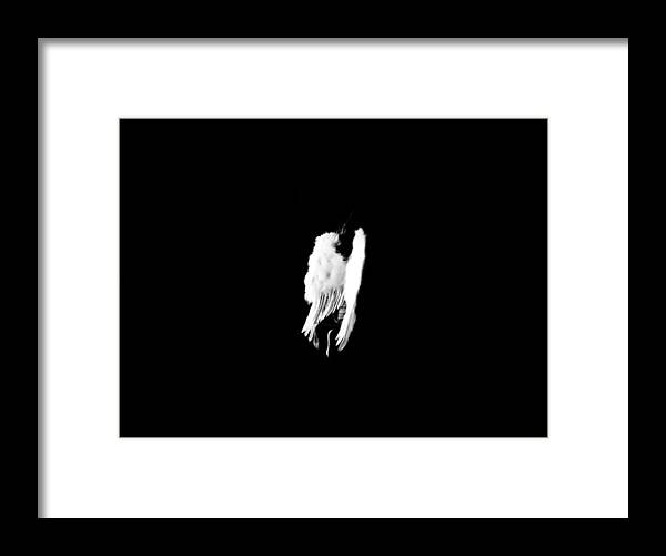 Wings Framed Print featuring the photograph Anyas wings by Jessica S