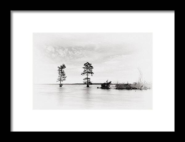 Tree Framed Print featuring the photograph Apart by Alan Raasch