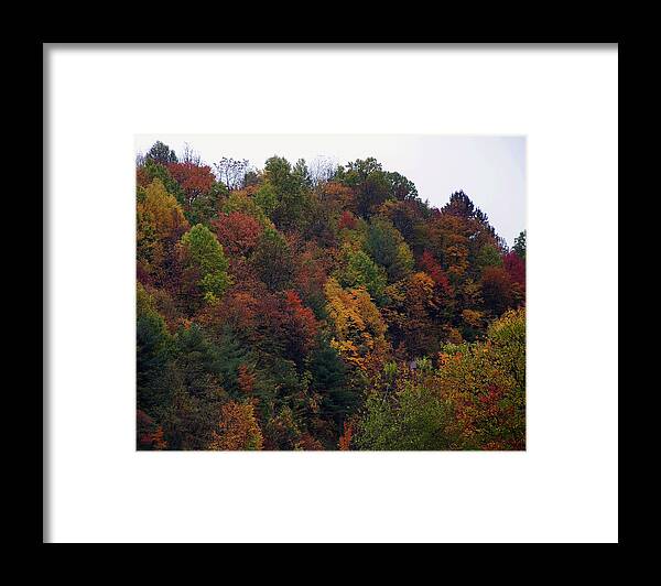 Landscape Framed Print featuring the photograph Appalachian mountain fall by Flees Photos