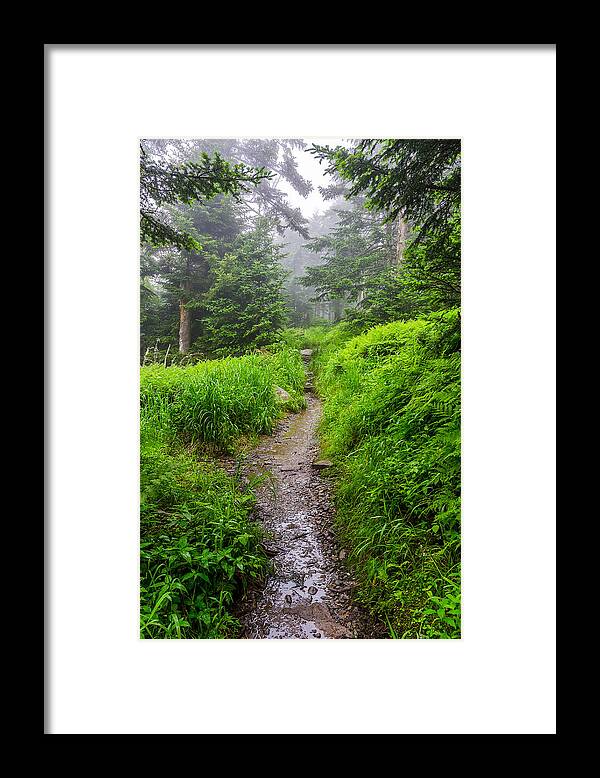 Smoky Mountains Framed Print featuring the photograph Appalachian trail at Clingmans dome by Anthony Heflin