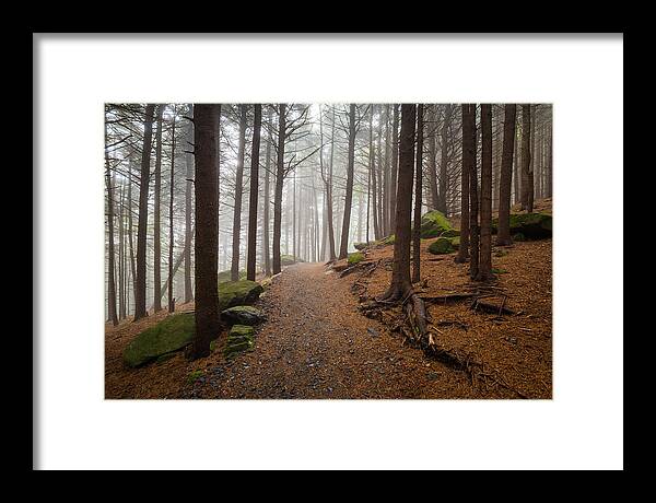 Appalachian Trail Framed Print featuring the photograph Appalachian Trail Landscape Photography in Western North Carolina by Dave Allen