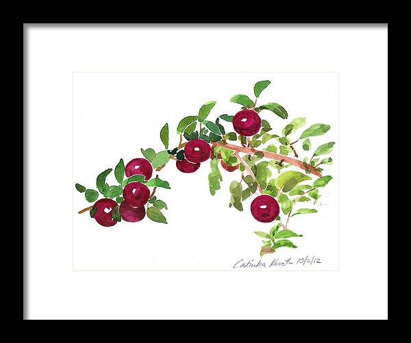 Botanical Framed Print featuring the painting Apple Bough watercolor by Catinka Knoth