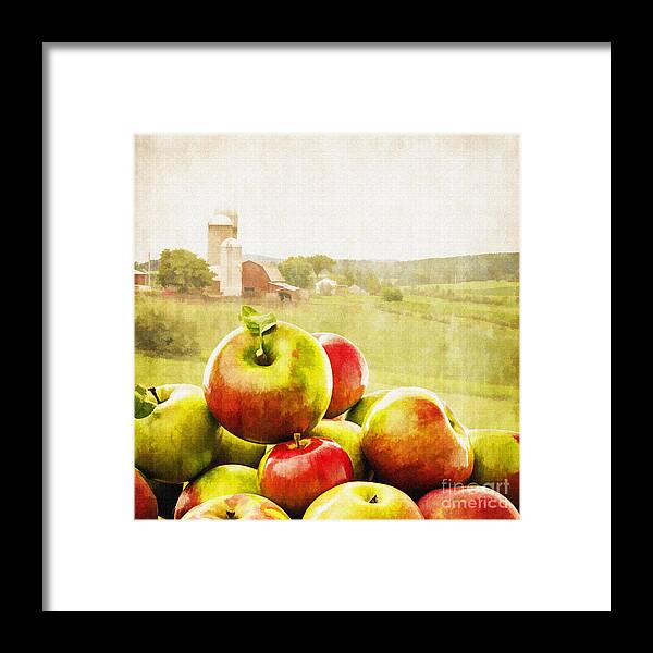 Vermont Framed Print featuring the painting Apple Picking Time by Edward Fielding