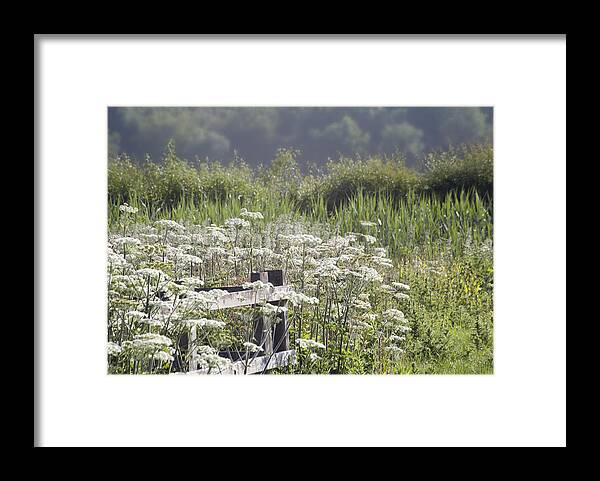 Rural Framed Print featuring the photograph Appleford walk by Jerry Daniel