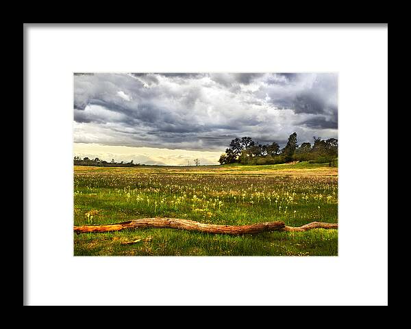 Meadow Framed Print featuring the photograph April Showers Bring May Flowers by Abram House