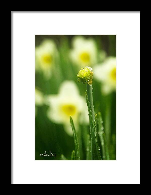Spring Framed Print featuring the photograph April Showers by Joan Davis