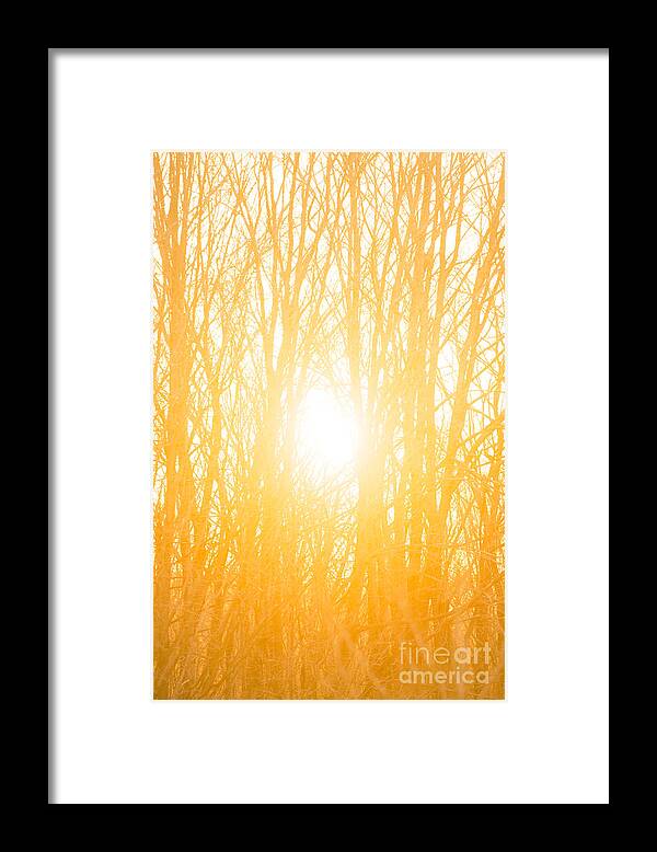 Sunrise Framed Print featuring the photograph April Sunrise by Diane Diederich