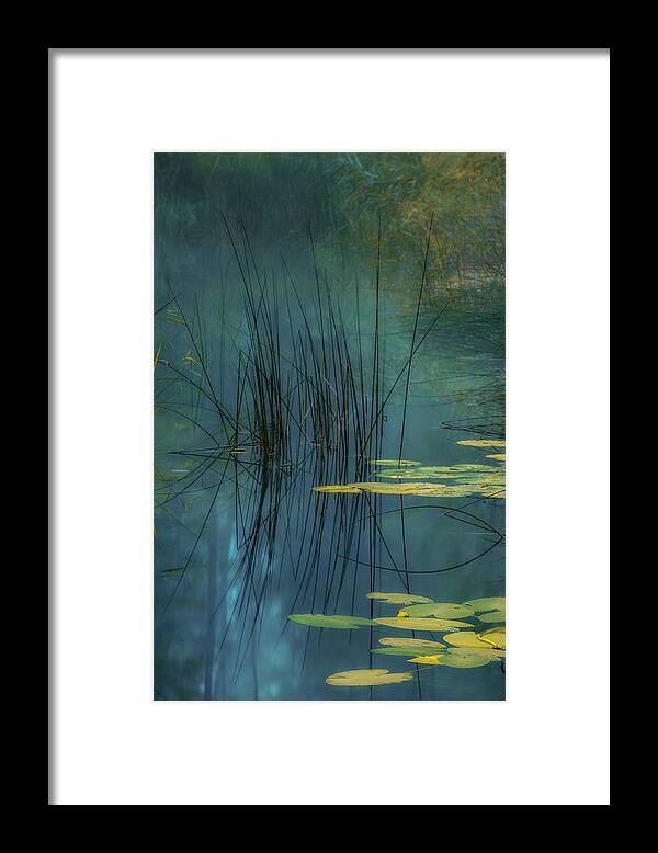 Water Framed Print featuring the photograph Aqua by Andreas Agazzi