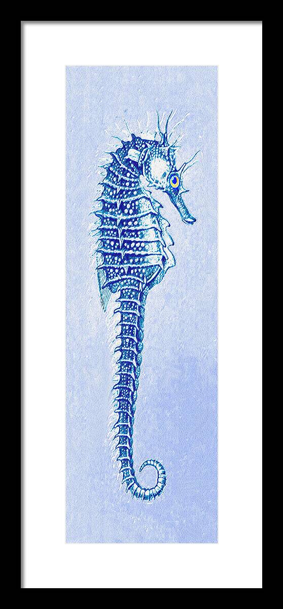 Jane Schnetlage Seahorse Framed Print featuring the digital art Aqua Seahorse- Right Facing by Jane Schnetlage