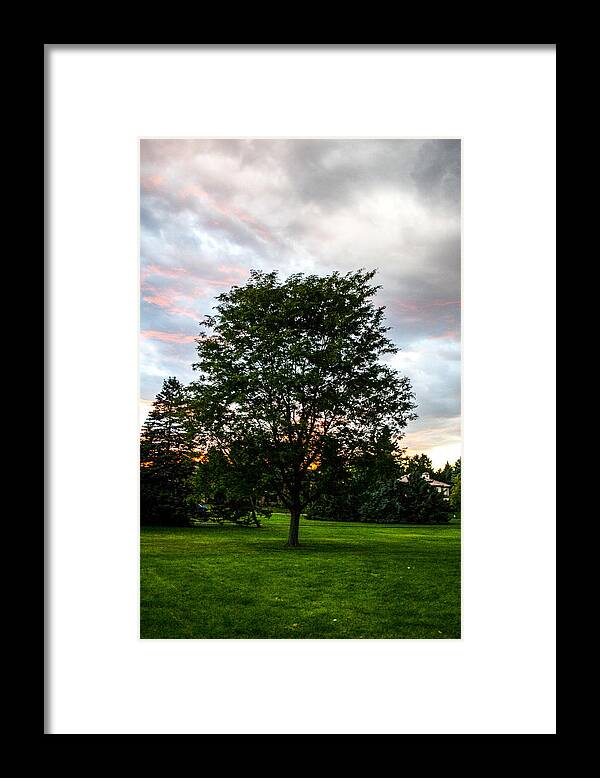Outdoors Framed Print featuring the photograph Arbor by Angus HOOPER III