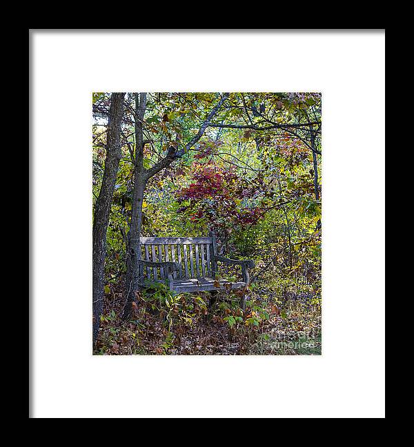 Arboretum Framed Print featuring the photograph Arboretum bench by Steven Ralser