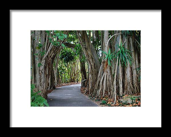 Archway Framed Print featuring the photograph Archway by Judy Wolinsky