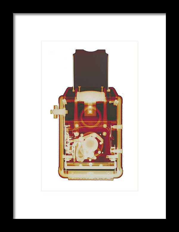 Antique Argus Camera Arts Poster Framed Print featuring the photograph Argoflex No. 10 by Roy Livingston