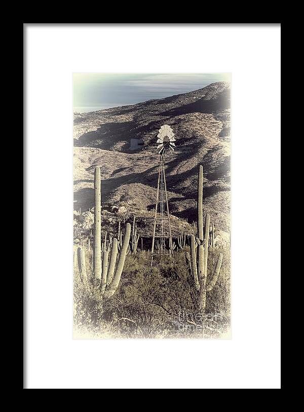 Arizona Framed Print featuring the photograph Arizona Dry by Henry Kowalski