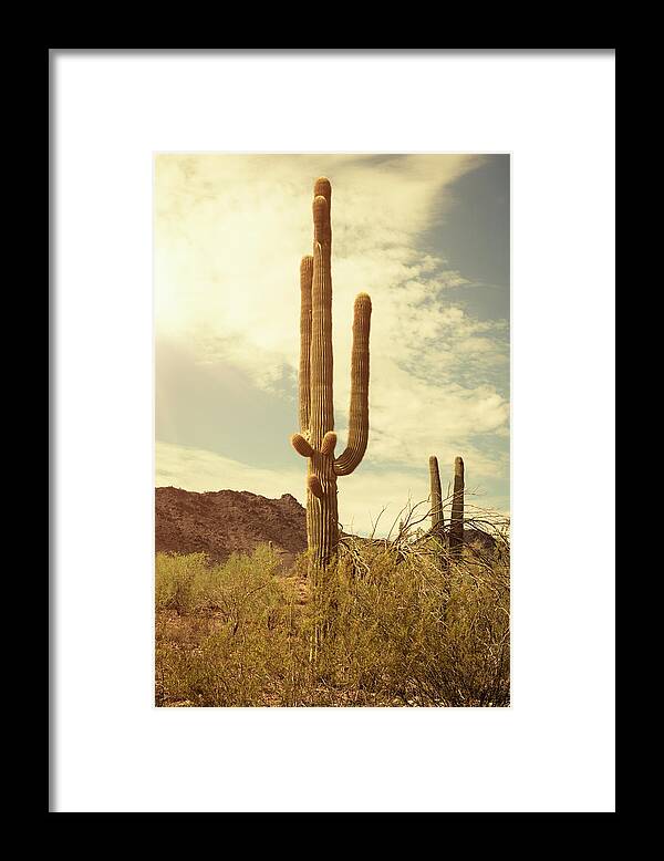 Saguaro Cactus Framed Print featuring the photograph Arizona Saguaro National Park Cactus by Franckreporter
