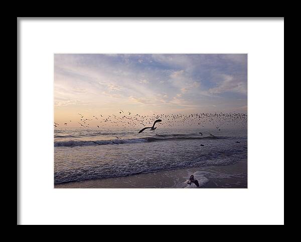 Naples Framed Print featuring the photograph Around The Beach by Lorenzo Cassina