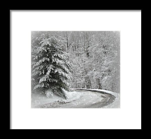 Winter Snow Ice Wintertime Tree Trees around The Bend Framed Print featuring the photograph Around the Bend by Beverly Canterbury