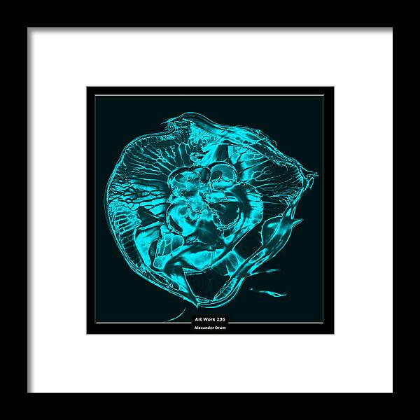 Fish Framed Print featuring the photograph Art Work 236 Jellyfish blue by Alexander Drum
