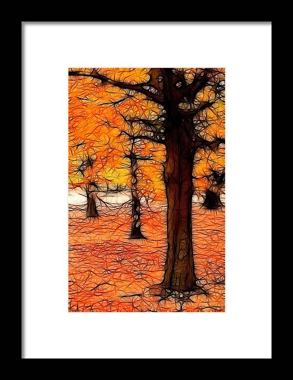 Fall Framed Print featuring the photograph Artistic Fall Trees by Don Johnson