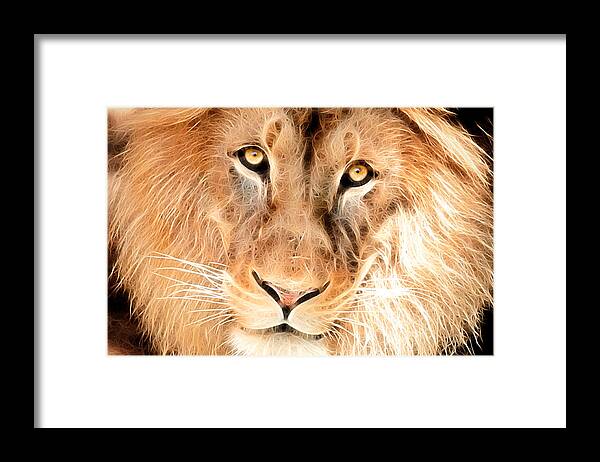Lion Framed Print featuring the photograph Artistic Lion Face by Don Johnson