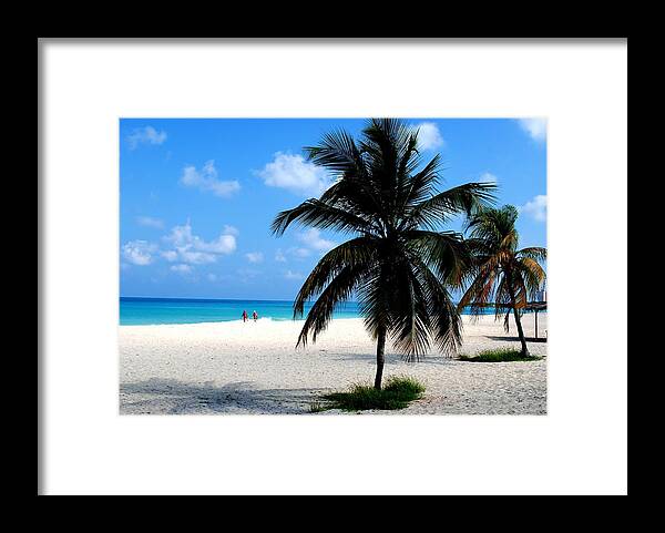 Palm Trees Framed Print featuring the photograph Aruba Paradise Beach by Ron Bartels