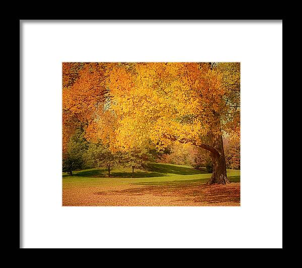 Autumn Framed Print featuring the photograph As The Leaves Fall by Kim Hojnacki
