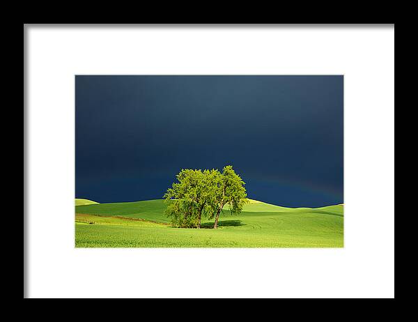 Dark Framed Print featuring the photograph As the Sun Returns by Mary Lee Dereske