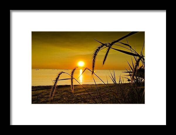 Wheat Framed Print featuring the photograph Ascend by Jason Naudi Photography