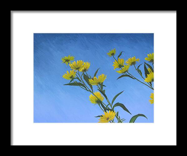 Flowers Framed Print featuring the painting Ascending by Don Morgan