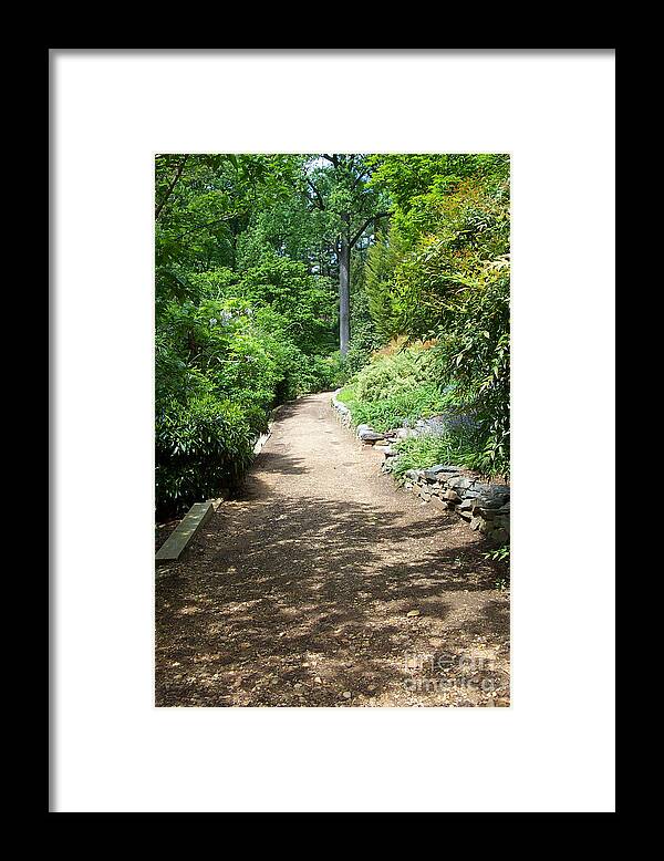 Paths Framed Print featuring the photograph Asian Paths No. 41 by Walter Neal