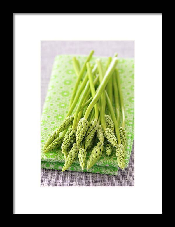 Bunch Framed Print featuring the photograph Asparagus by Riou