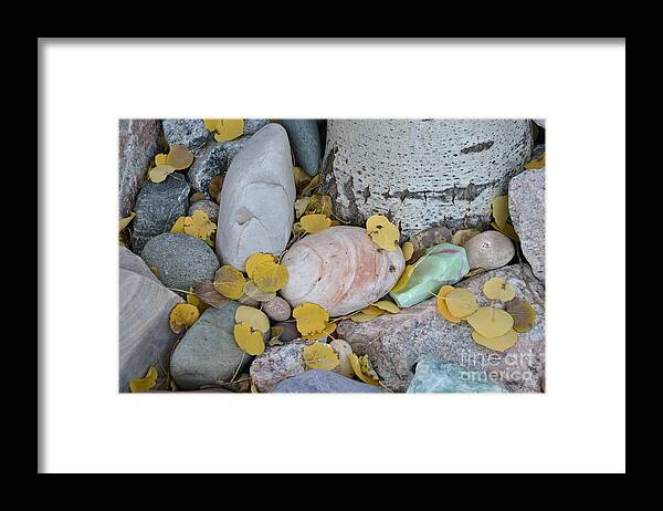 Aspen Framed Print featuring the photograph Aspen Leaves on the Rocks by Dorrene BrownButterfield