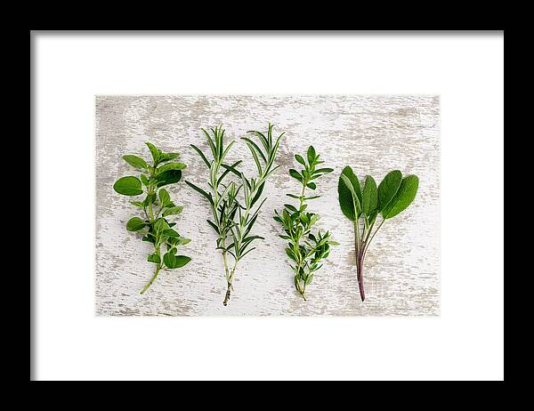 Rosemary Framed Print featuring the photograph Assorted fresh Herbs by Nailia Schwarz
