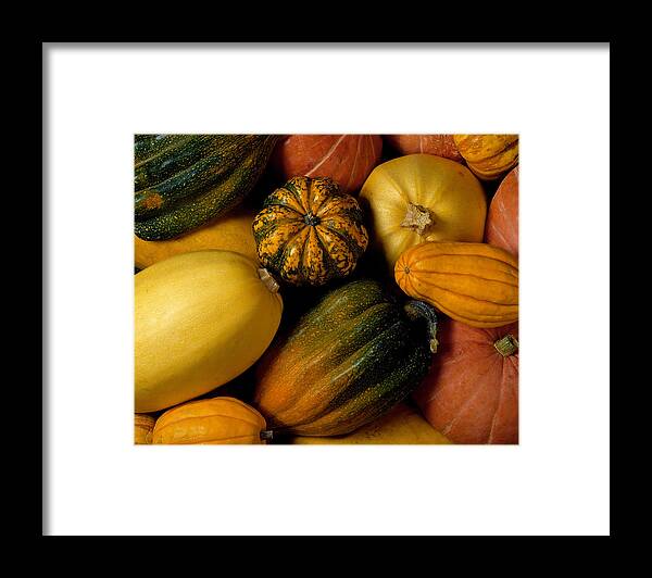 Orange Color Framed Print featuring the photograph Assortment of squash by Brand X Pictures