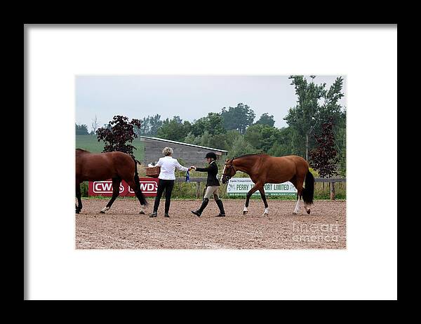 Horse Framed Print featuring the photograph At-c-hunter90 by Janice Byer