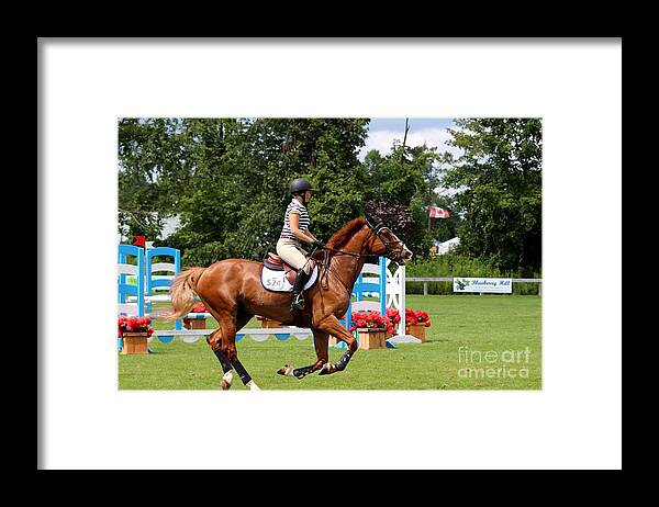 Horse Framed Print featuring the photograph At-c-jumper150 by Janice Byer