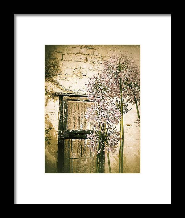 Connie Handscomb Framed Print featuring the photograph At The Cottage Window by Connie Handscomb