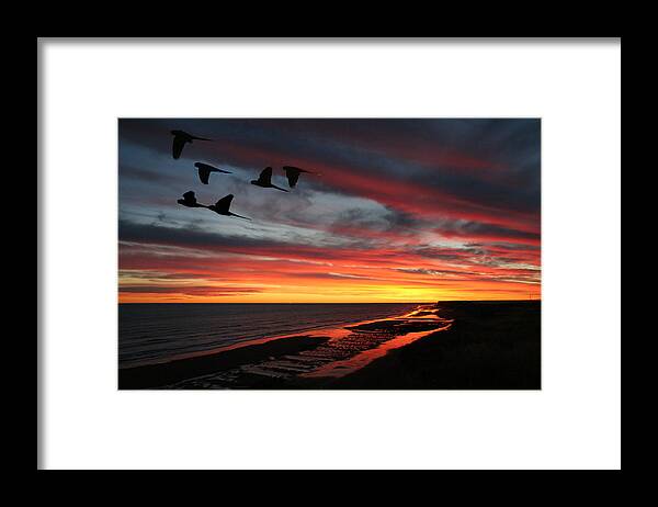 Atardeceres Framed Print featuring the photograph Atardeceres by Gustavo Scheverin 