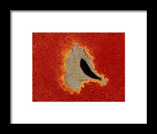 Magnified Image Framed Print featuring the photograph Atherosclerosis by Pasieka