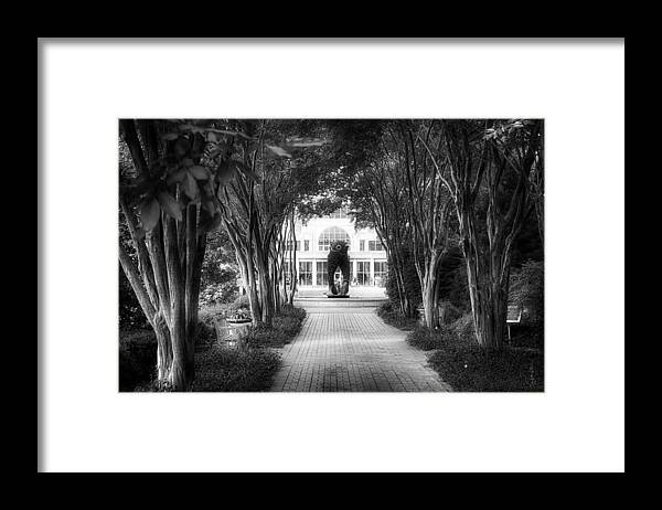 Atlanta Framed Print featuring the photograph Atlanta Botanical Garden-Black and White by Douglas Barnard