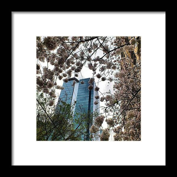 Building Framed Print featuring the photograph #atlanta #spring #highrise by Esin Saglam