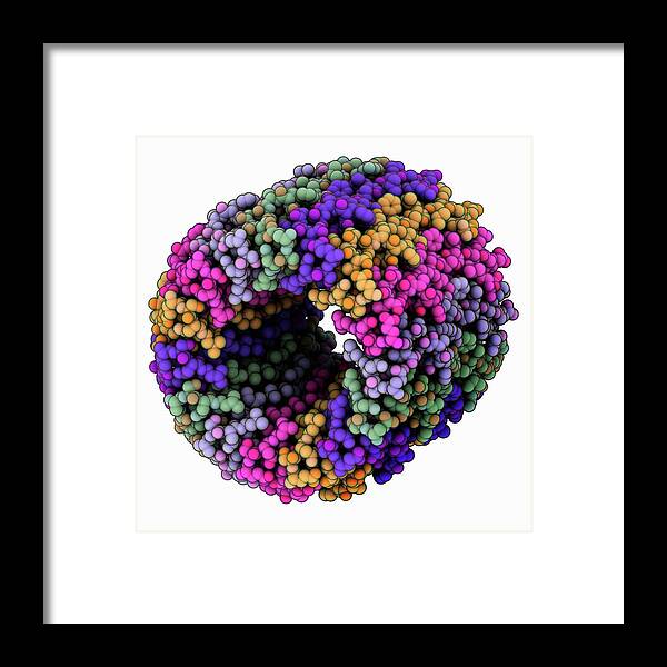 Art Framed Print featuring the photograph Atp Synthase C Rotating Ring by Laguna Design/science Photo Library