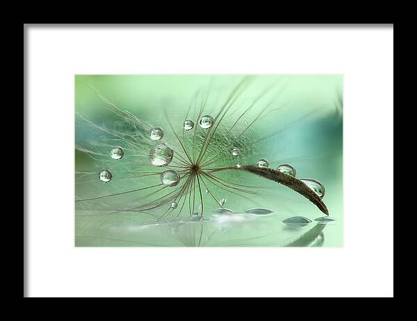 Water Framed Print featuring the photograph Aurora Borealis by Rina Barbieri